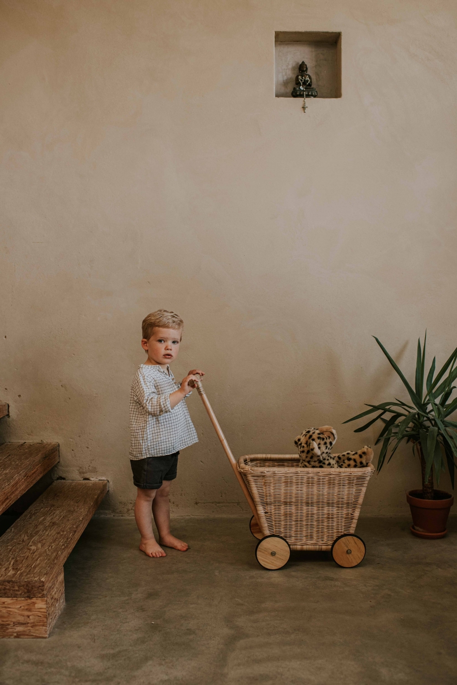 FIH Fotografie » Wildflower